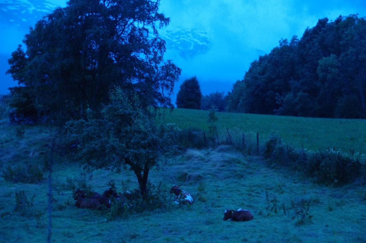 Orheimstunet - Gardsferie For Storfamilien Der Ogsa Hunden Er Velkommen Starheim ภายนอก รูปภาพ